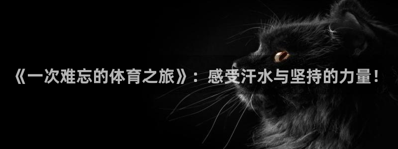 v站体育官网