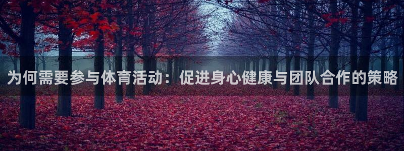v站体育破解