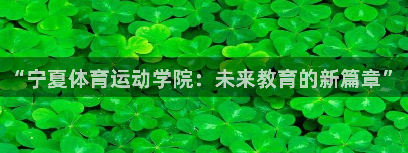 v站体育比分：“宁夏体育运动学院：未来教育的新篇章”