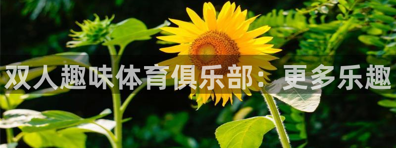 v站体育下载