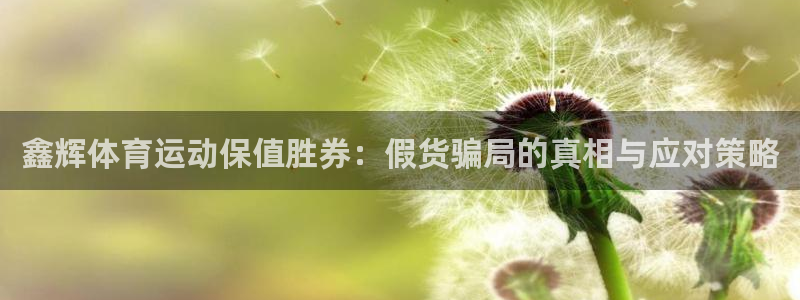 v站体育官方入口