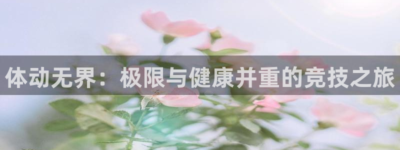 v站体育官方入口