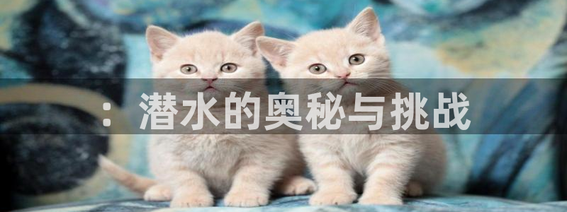V站体育App下载