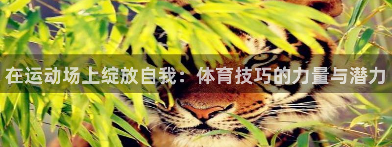 v站体育官网app