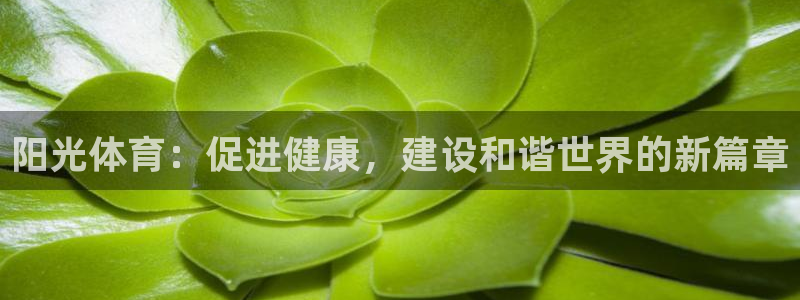 v站体育官网登录