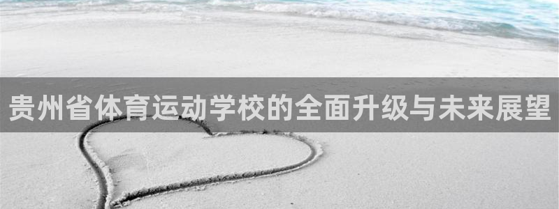 v站体育比分